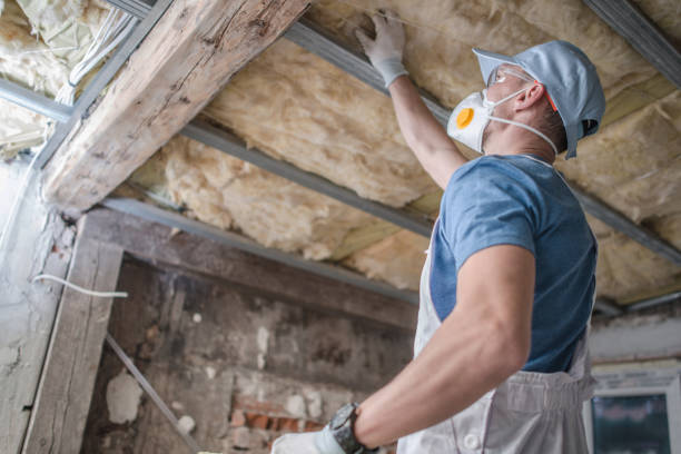 Best Eco-Friendly Insulation in Ravenel, SC