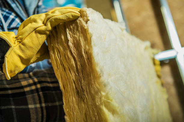 Reliable Ravenel, SC Insulation Contractor Solutions