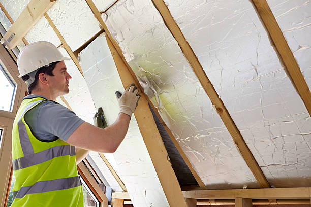 Best Insulation Maintenance and Repair in Ravenel, SC