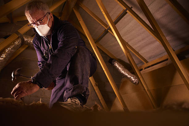 Best Spray Foam Insulation in Ravenel, SC